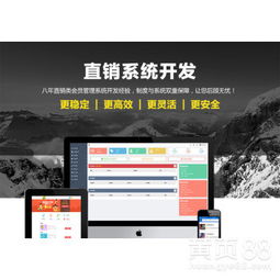 山東直銷管理軟件公司 引領(lǐng)企業(yè)數(shù)字化轉(zhuǎn)型的軟件開(kāi)發(fā)專家