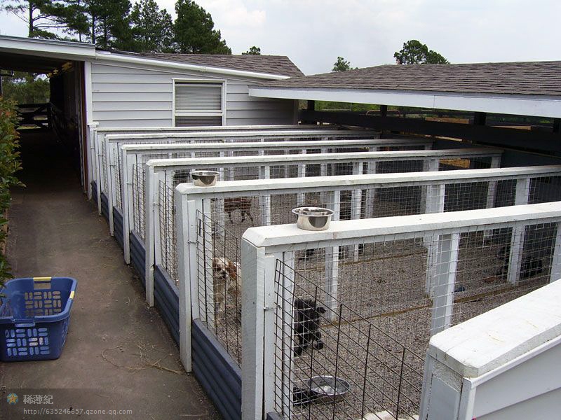 探秘頂級犬舍 藝術(shù)與科學(xué)的完美交融，顛覆你的想象